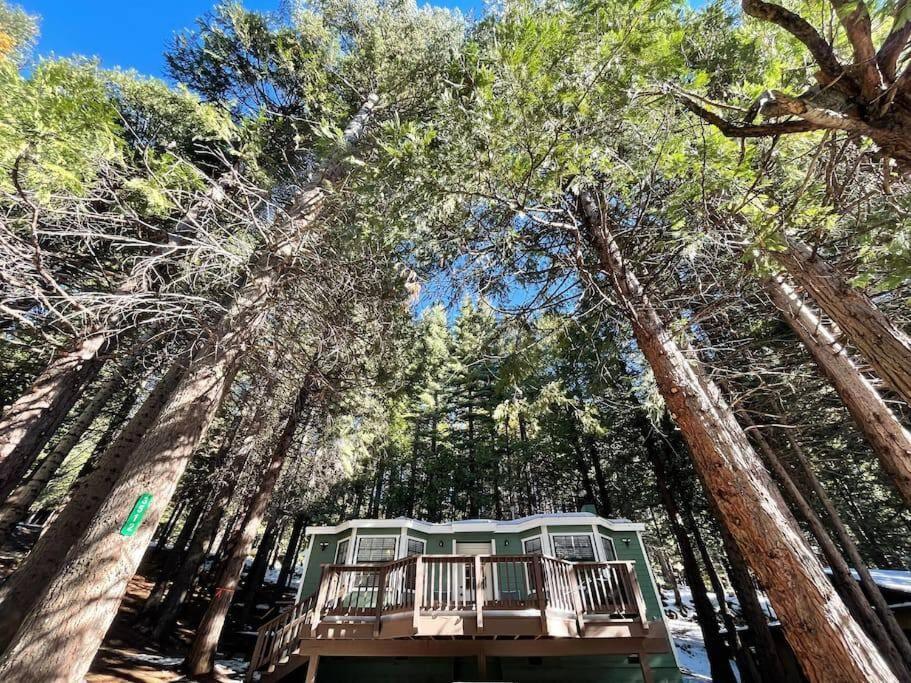 Cedar Oasis - Home Base To Big Trees Arnold Exterior foto